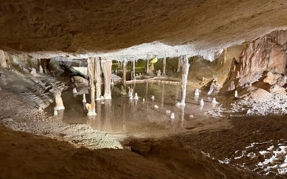 Still water under pale stalactite columns in a lit cave chamber