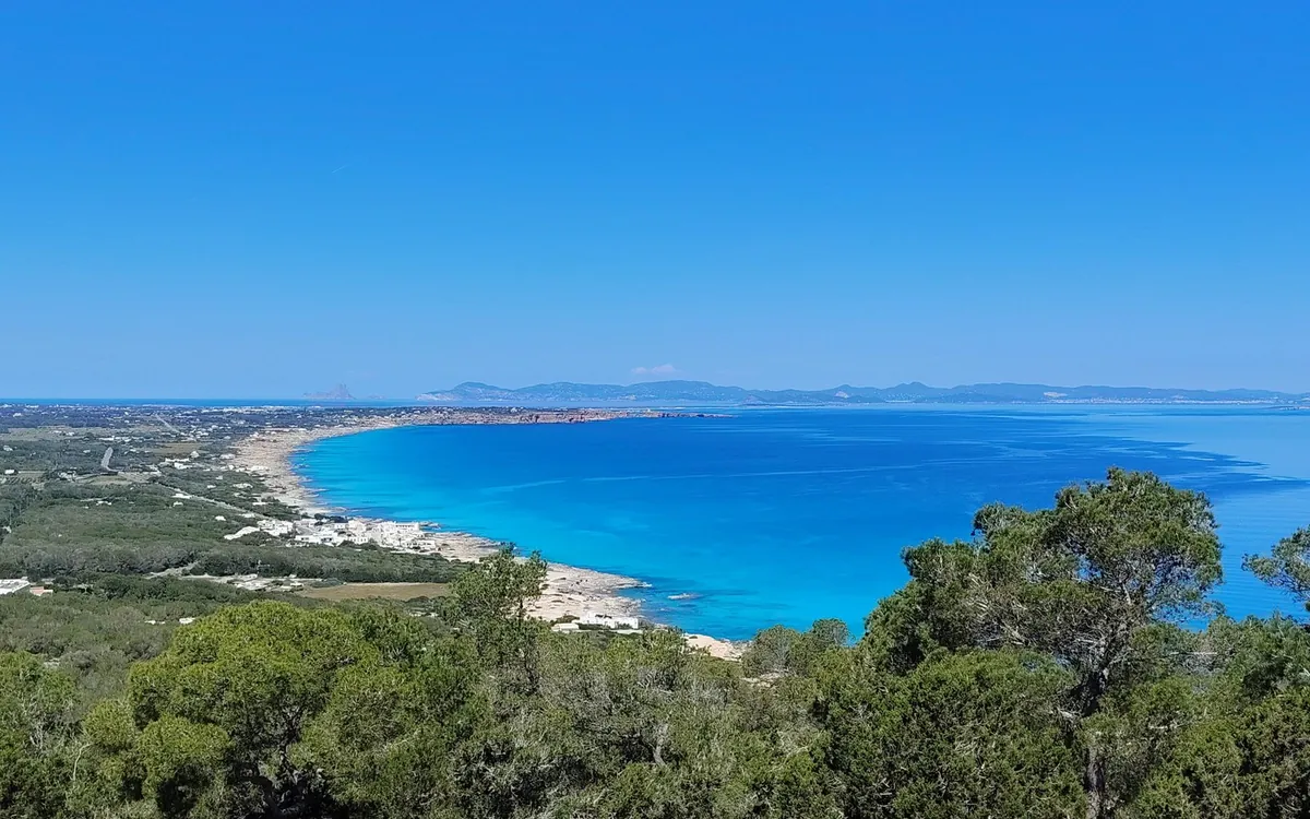 Turquoise water along the Formentera coast, seen from a hill with pine trees