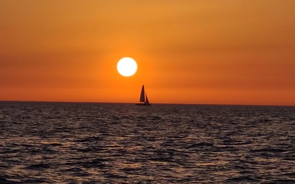 A sailing catamaran in silhouette on the horizon below a low orange sun over the sea